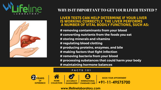 lifelinepathlab's tweet photo. Did you know that it is crucially important to get your Liver Function Test done (LFT) as it can help determine if your liver is working correctly. The liver performs a number of vital bodily functions. 
#HealthyLife #LifelineLaboratory #LiverHealth #LFT #AdvanceLab https://t.co/LZooc8otjR