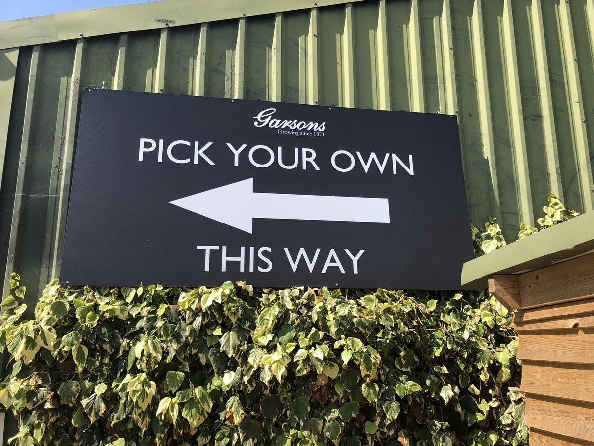 ElectricEarls's tweet photo. “Largest pick your own fruit & veg selection, kids play area, farm shop, garden centre & lovely spacious restaurant”
Sound like somewhere you’d like to visit? Check out my latest blog post to get the low down on @Garsons_Esher ⬇️
#mblogs #daysout
https://t.co/3AFkMZVljp https://t.co/3Fk2w0muOU