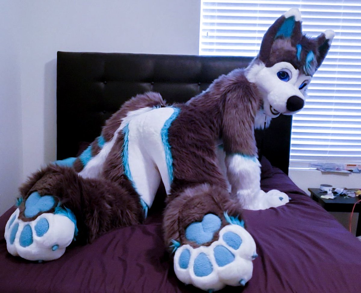 Pics Fursuit Sex