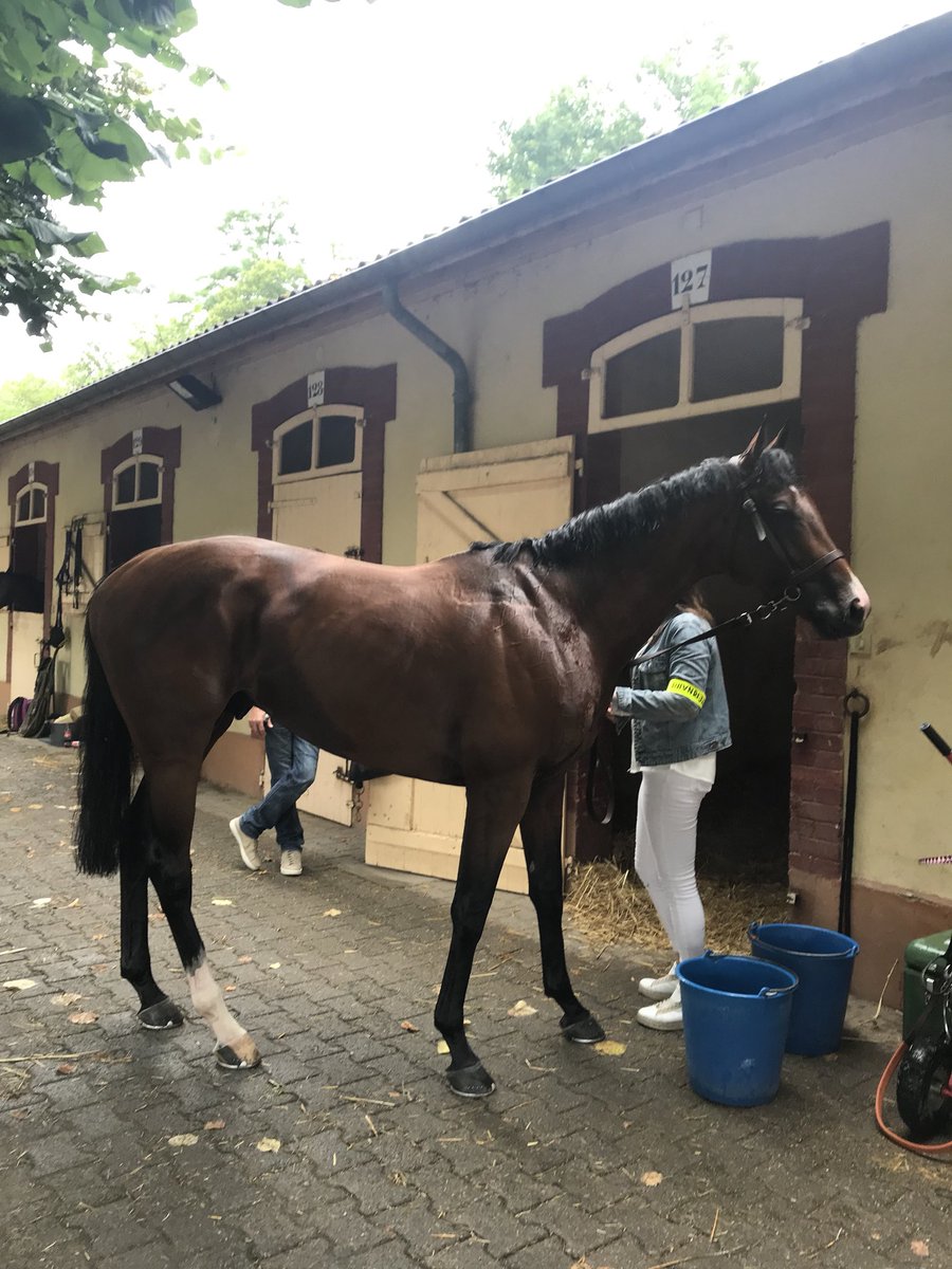 jennifer_b032's tweet photo. @AntoGriezmann @PDecouz #Tornibush 🐎🐎 https://t.co/i5PXTsw18M