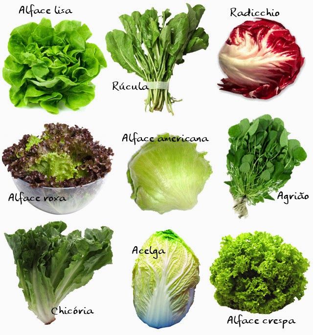 vetrissimo's tweet photo. There are so many salad greens to choose from yet most people eat only two or 3 kinds, if that !
There are so many shop or homemade dressings to choose from too.
What's you fave ?
#Saladays 
https://t.co/eIh7xoPqo0 https://t.co/EWoDFI9eWN