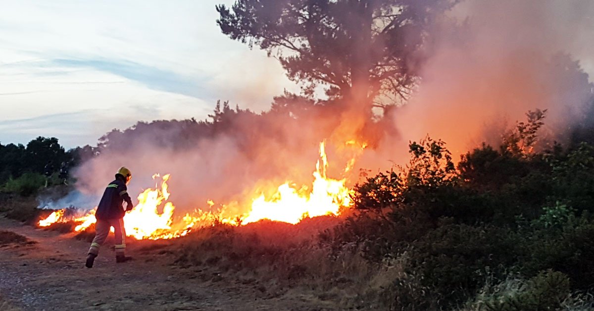 Firefighters from #Tamworth &amp; #Lichfield along with the unimog 4x4 from #Cannock are dealing with a large grass fire in the #Dosthill quarry area. The fire measures approx 500 metres by 500 metres &amp; two main jets are in use