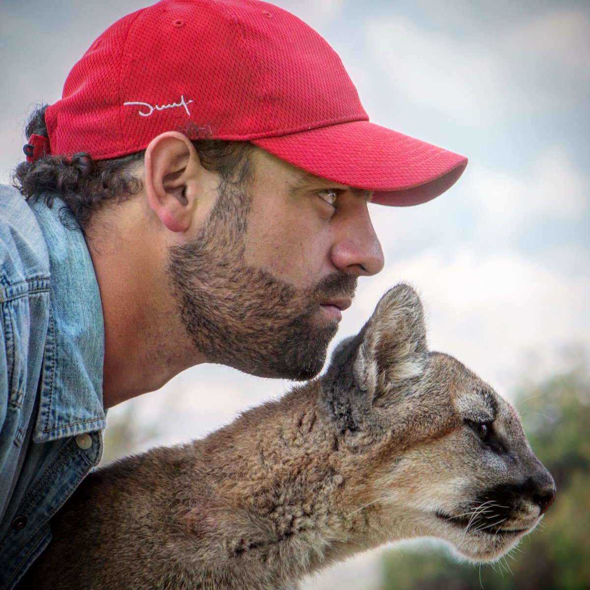 arturooislas's tweet image. A partir de mañana Sábado 11:30am regresamos @AztecaSiete con #IndomableXNaturaleza mañana conocerán al #Spizaetus ave selvática en grave peligro de extinción que filme en el último segmento de la selva veracruzana, no se lo pierdan. Nuevo capítulo de 30 min. TODOS LOS SÁBADOS.