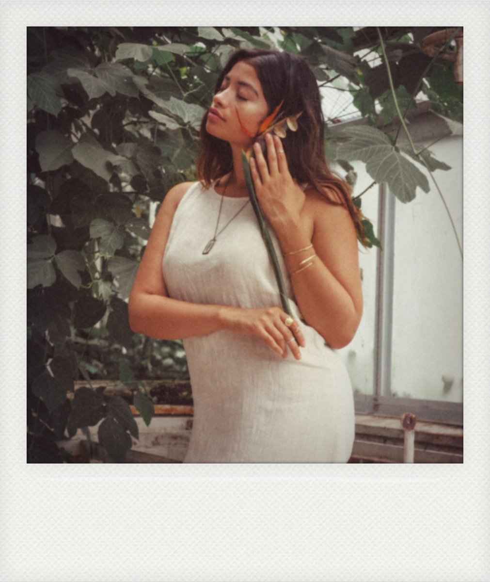 "Man, said Francé, merely thinks plants motionless and feelingless because he will not take the time to watch them.”
Discover The Secret Life of Plants - 10% of sales go directly to the Dream Warriors Foundation 🌿 bit.ly/2uBJaOh