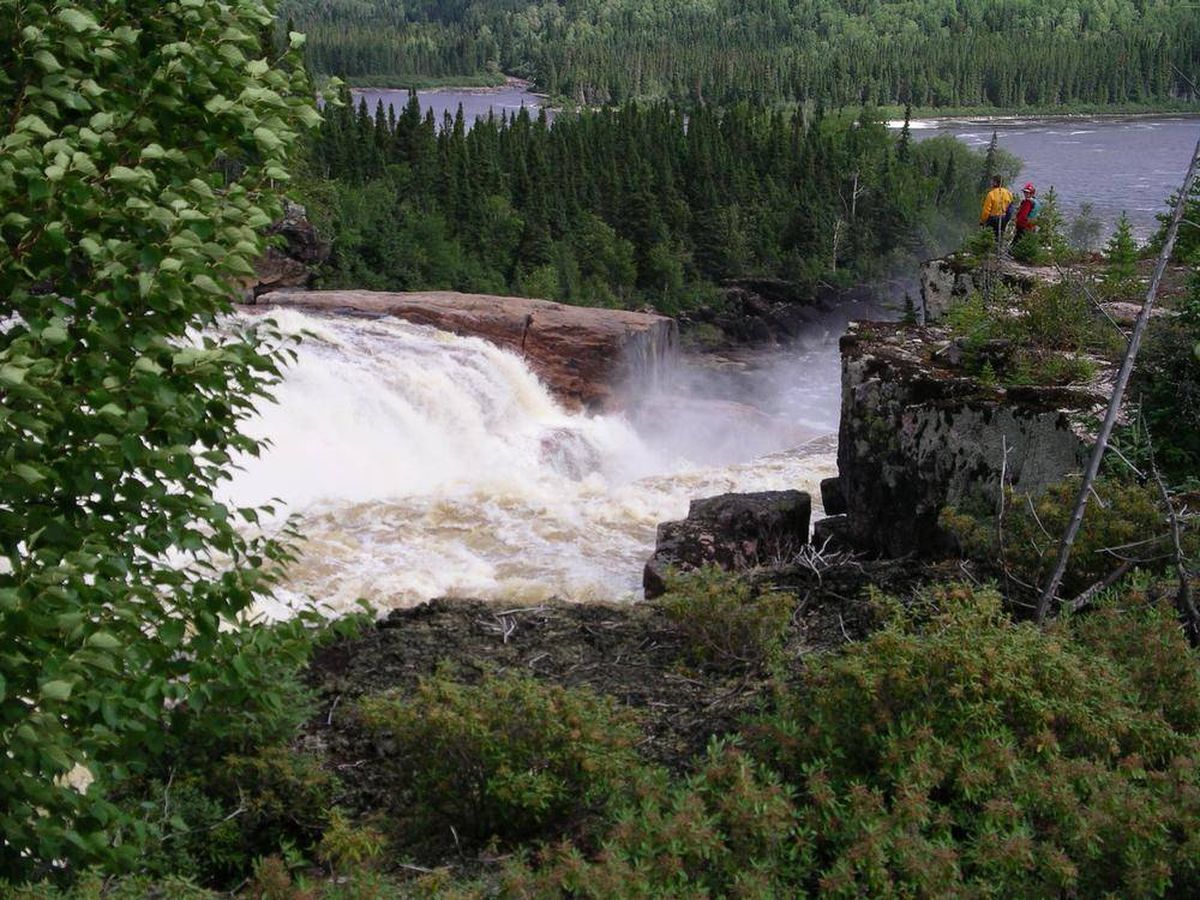 Canopyplanet's tweet photo. Great @globeandmail article on the importance of protecting Quebec's beautiful #Broadback forest as soon as possible! https://t.co/aoaWaYWgvC https://t.co/oQSMAq6oxM