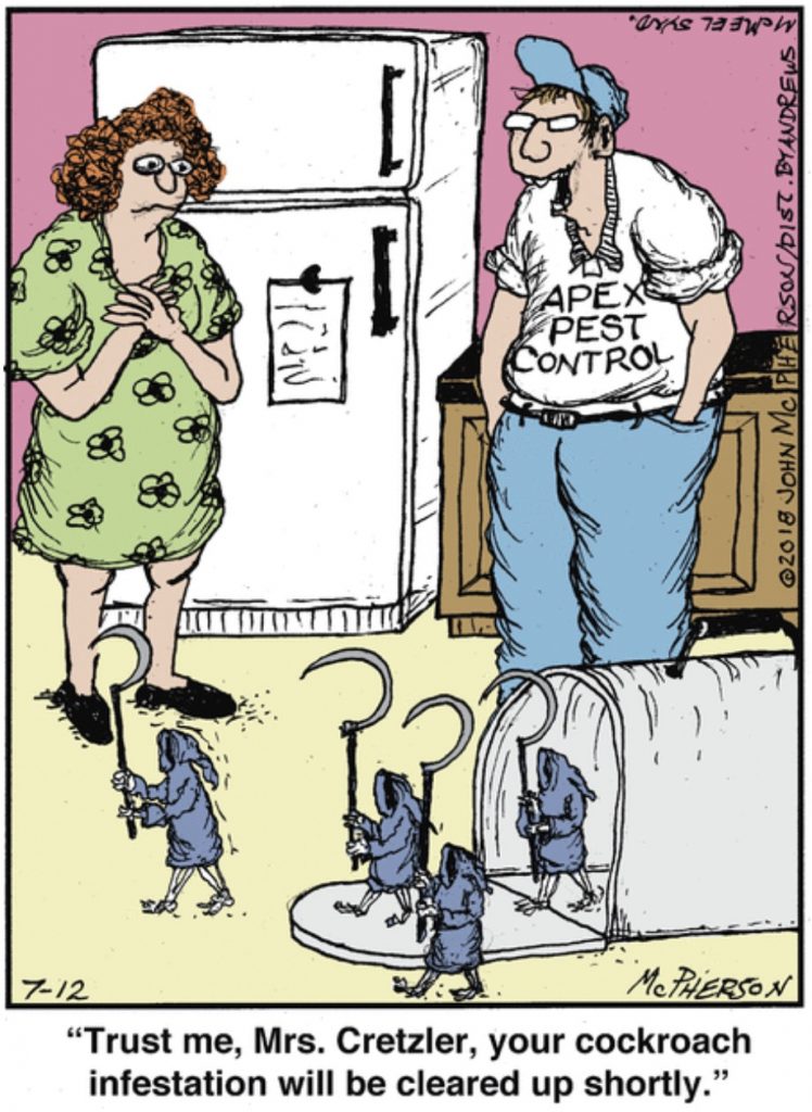 CAFuneralDir's tweet image. #FridayFunny Have a wonderful (hopefully cockroach free) weekend! #FuneralHumor