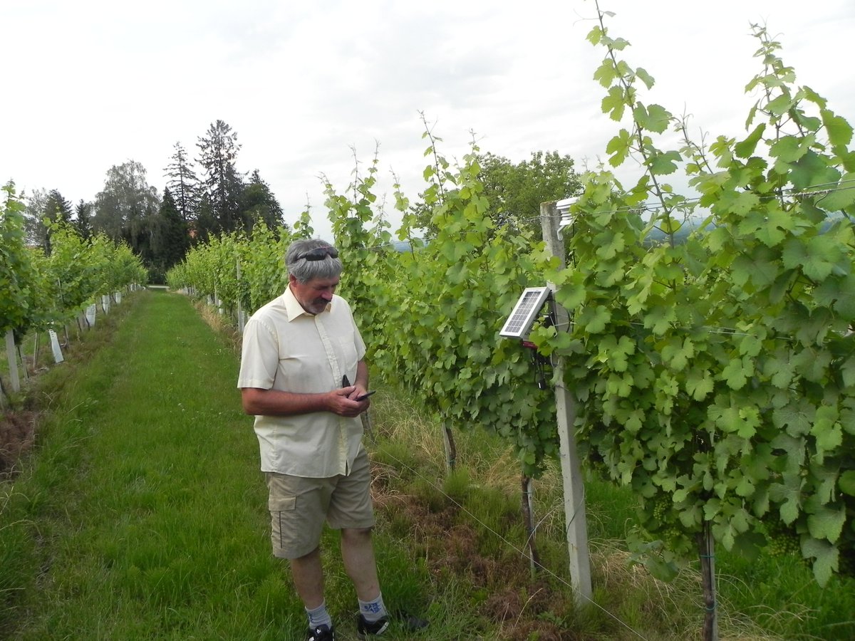 eVineyard_app's tweet photo. Decision support systems in combination with the on-site weather station provide precise information that winegrower can use to make an informed decision. https://t.co/dPTKzODUtI https://t.co/YsQ26nNQng