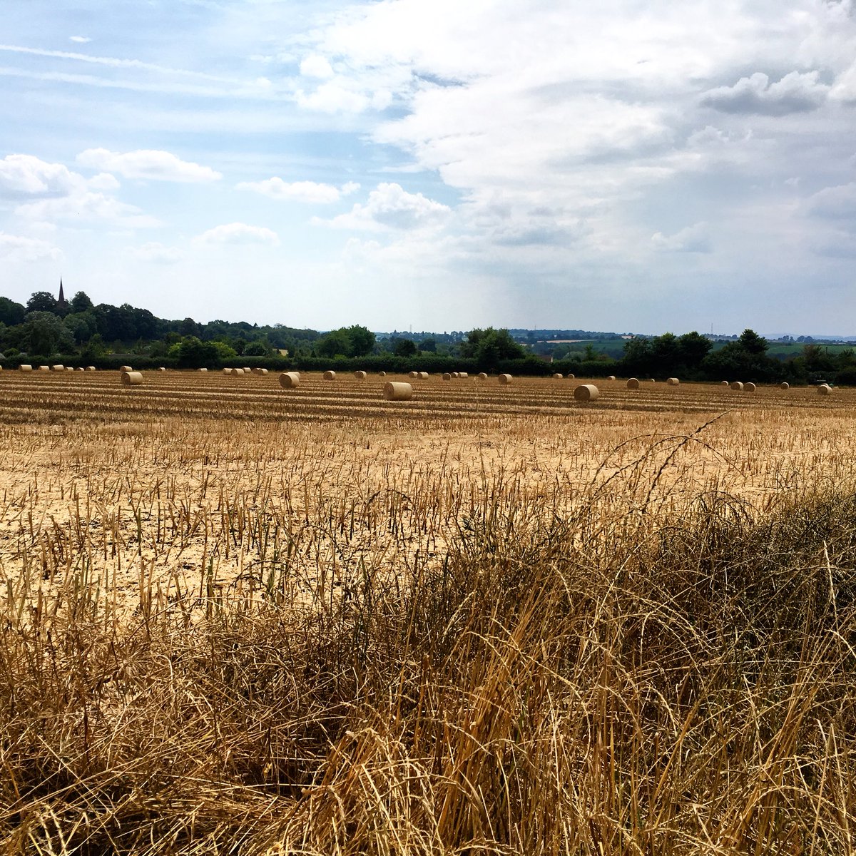 OverdineFarm's tweet photo. It’s starting to rain after this beautiful weather in #Herefordshire! Can’t remember the last time we had any real rain. The children finished school today @KingsCapleAcad, looking forward to a nice restful summer! This was the view on the way back from school today.. https://t.co/rquwIk9icg