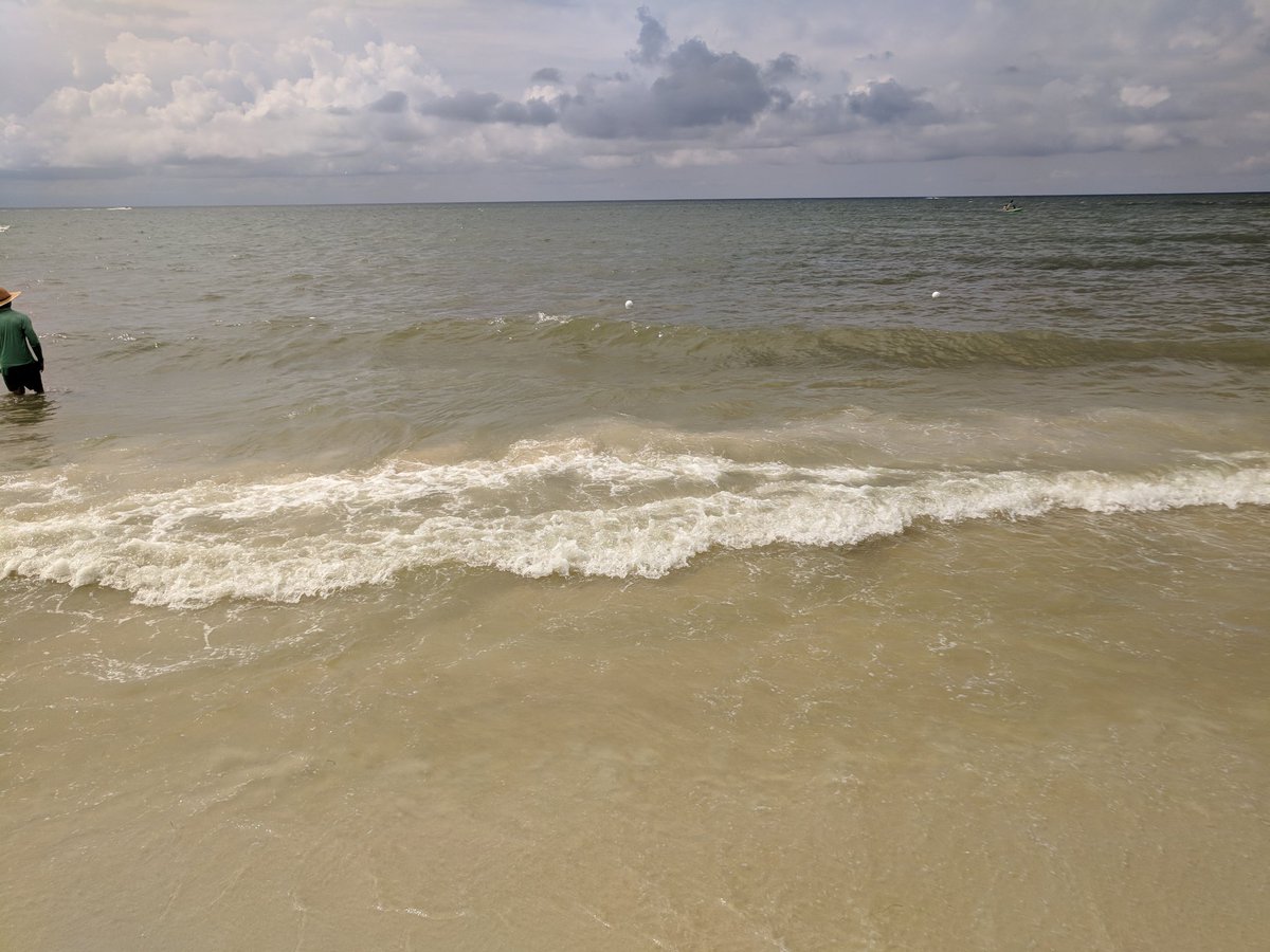 roo_book's tweet photo. Mommy and daddy took me on my first beach trip https://t.co/w8xvLqr0mE