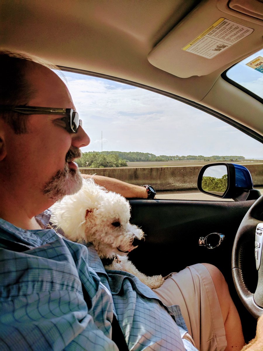 roo_book's tweet photo. Mommy and daddy took me on my first beach trip https://t.co/w8xvLqr0mE