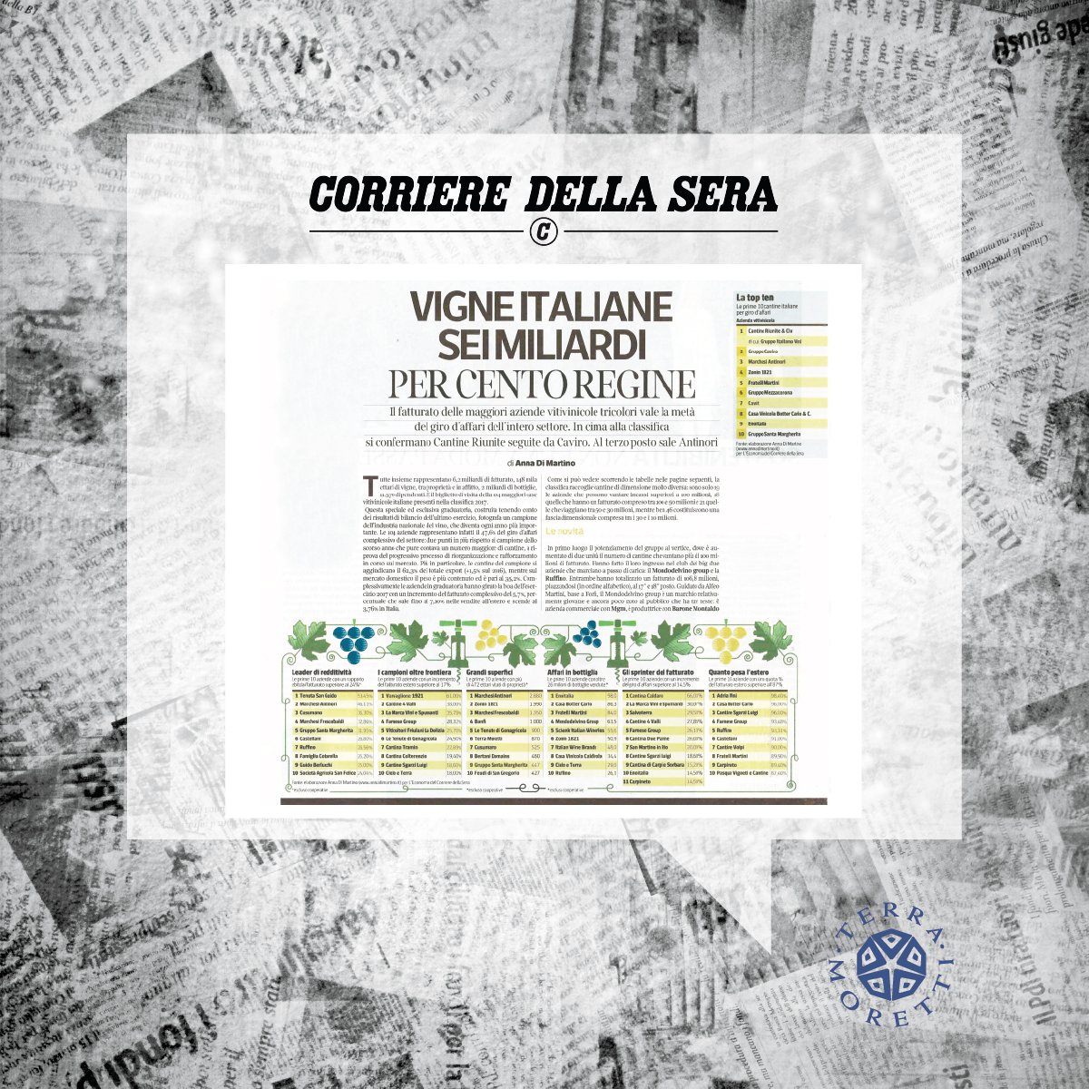 Holding Terra Moretti tweet media