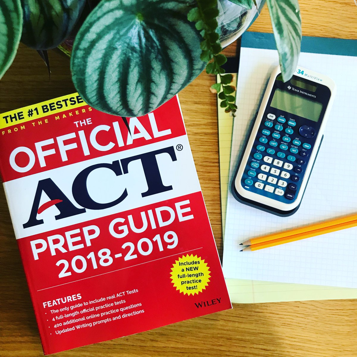 blueridgetutoring tweet media