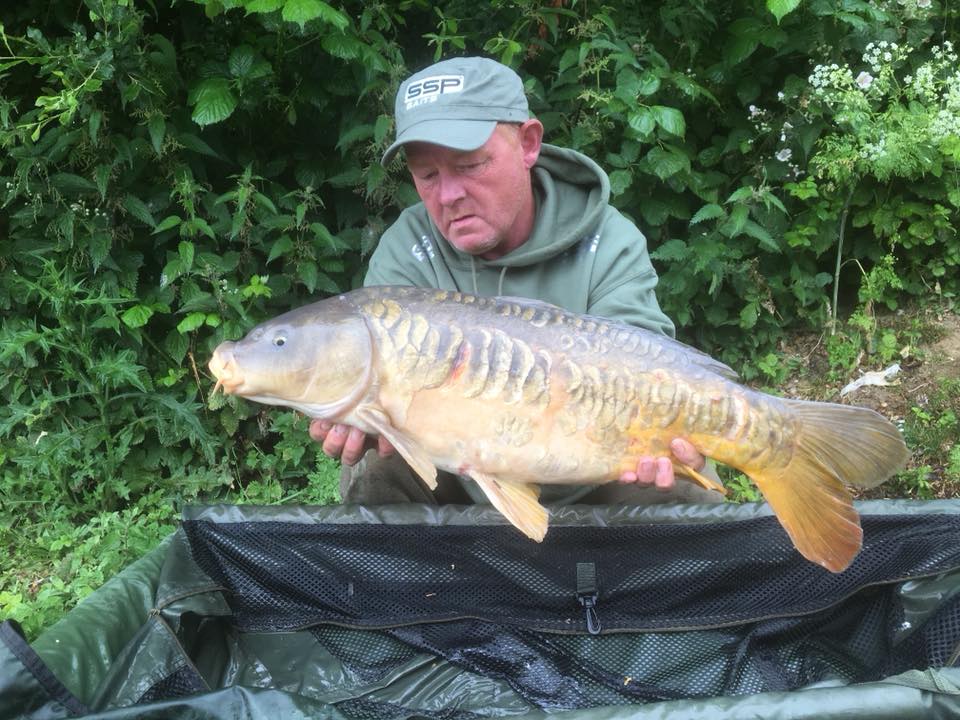 SSP Team Member Jamie Miller managed this cracking scaley mirror from a very moody lake using the NEW MONSTER-X Fishmeal boilies. #TeamSSP
"Good Things Come To Those That Bait!" - sspbaits.com | #SightSmellPalate #SSPBaits #SystemX #MonsterX #SSPElements