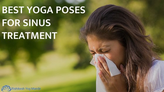 rishikesh_yog's tweet image. Are you suffering by sinus problem ?👃
Here we provide you 5 best yoga poses for sinus treatment .For more detail visit this link : bit.ly/2uCFqMf 
#yoga #sinusproblem #sinus #Infections #Sinusitis #nose #yogaeverywhere #yogalife #yogalove #India #Fridayfeeling 🙏😊