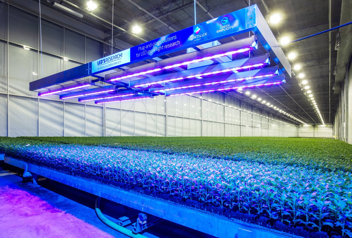 ledsresearch's tweet photo. The LED'S RESEARCH! dim kit is also perfectly suitable for LED grow light recipe research in the greenhouse. More information on this and other solutions: https://t.co/LerJIjxuXF https://t.co/Iygbqrr1hs