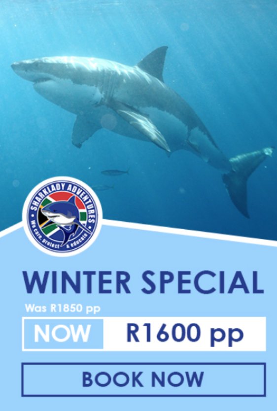 sharkdiveZA's tweet photo. Beat the Winter blues with a Winter special! Book your dive today. https://t.co/4eMzSKNBRr