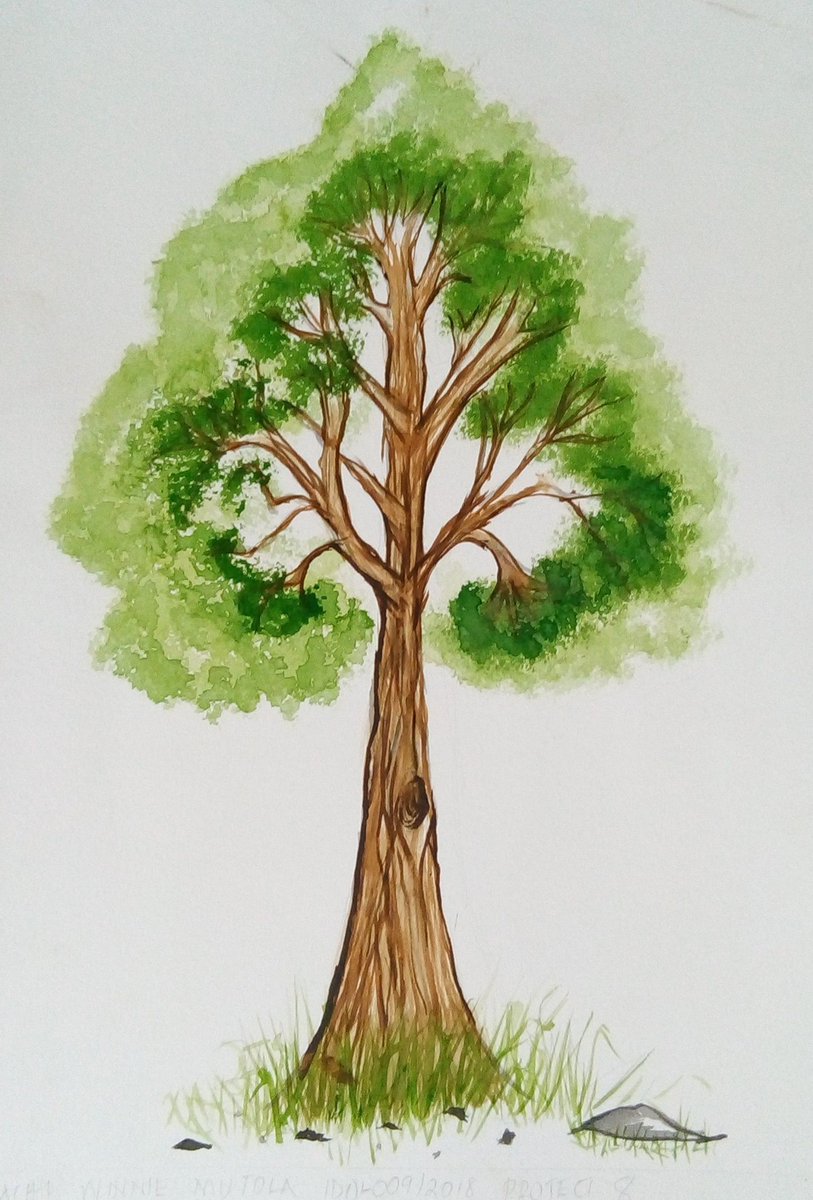 ExperienceNIT's tweet image. JULY is World Watercolor Month! In celebration of this month, we share with you some watercolor projects done by our students. #WatercolorMonth #GrowWithTechnology #FeelGoodFriday #watercolorpainting #July 

Which one is your favorite?