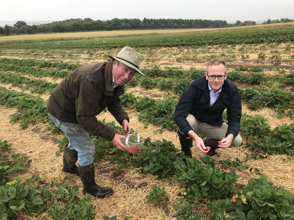 John2Win's tweet photo. Despite the heavy rain today, it was great to meet the team at @BorderBerries 
They are one of Scotland's last remaining outdoor berry farms and the warm sunshine has produced a bumper crop.
#localfood #shoplocal 
🍓 🍒🍇
☔️ ☀️ https://t.co/8Bzz7xyCo7