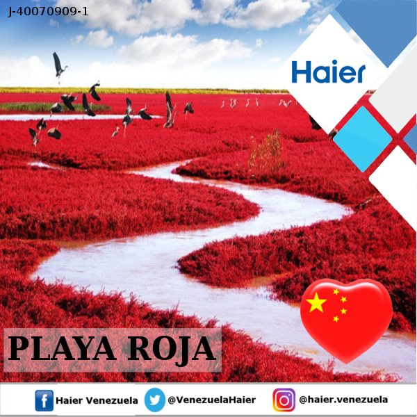 VenezuelaHaier's tweet photo. #VenezuelaHaier #Haier #Venezuela #20Julio #FelizViernes #Viernes #Julio #Electrodomésticos #Nevera #Cocina #Airessplit #Aireventana #Calentadores #Ventiladores #Cafetera #Microonda #Teléfonos #Tablets #Android https://t.co/v5QsQstYaC