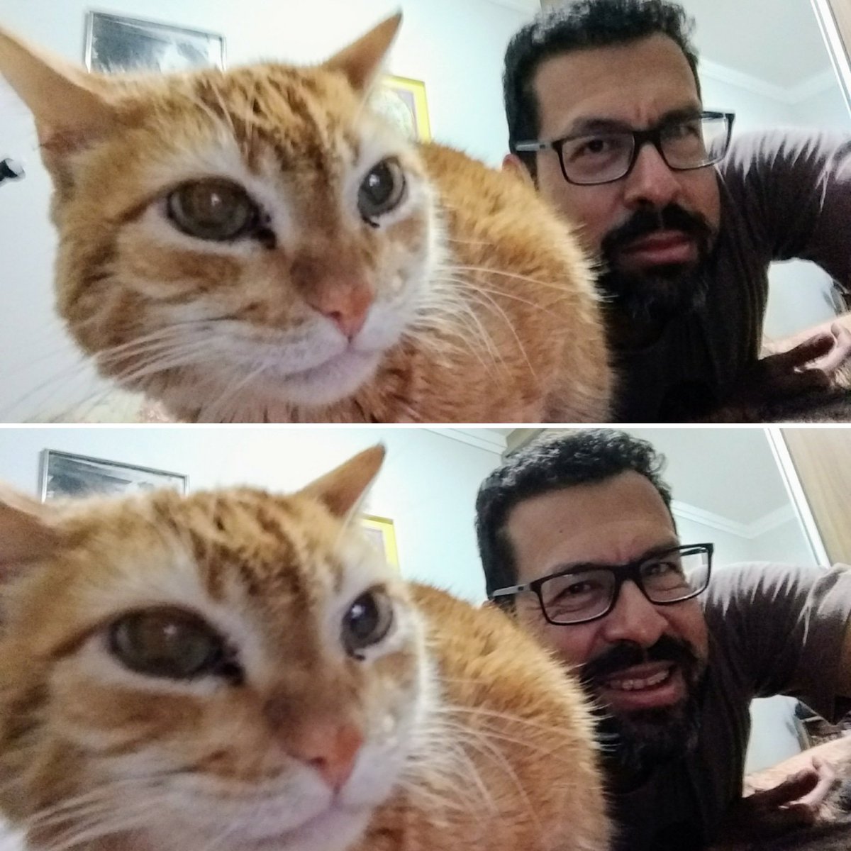 leo_soul's tweet photo. Famílias Terrivelmente Felizes e Vacinadas e Desfocadas 🖤
#orlandofellini #eusoul #catsofinstagram #felinos #barbudo #tiodosgatos https://t.co/YdhzUE7zdQ