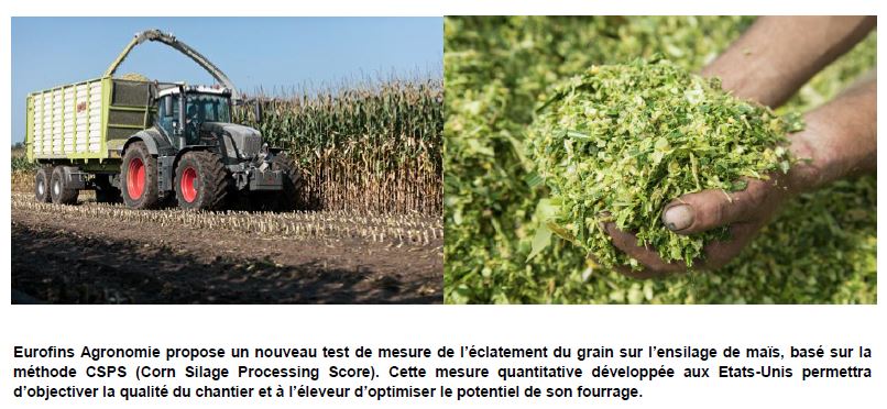#Mais #fourrage : valider la qualité de l'éclatement du grain grâce au nouveau test #CSPS chez <a href="/Eurofins_agroFR/">Eurofins Agronomie</a> Objectif : que votre score soit supérieur à 70% pour éviter les gaspillages dans les bouses. Mesurer, décider, progresser
