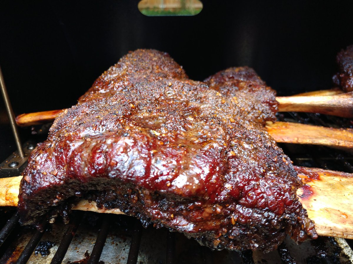 Traeger Grill Recipe For Beef Ribs Dandk Organizer