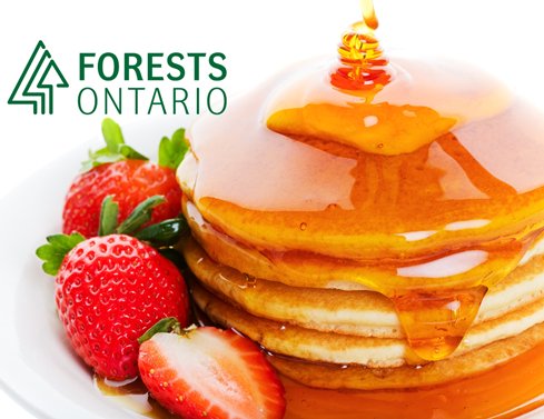 forestscanada's tweet photo. This weekend, we'll be at the #SawTech Expo in Renfrew County, named Canada's Forestry Capital in 1984. It's the perfect place to celebrate forest products, so we're hosting a pancake breakfast featuring Ontario maple syrup. Join us on Saturday morning! https://t.co/QZ2dmrhtBv https://t.co/aFuzlzZulg
