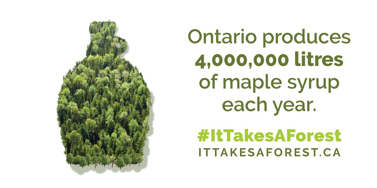 forestscanada's tweet photo. This weekend, we'll be at the #SawTech Expo in Renfrew County, named Canada's Forestry Capital in 1984. It's the perfect place to celebrate forest products, so we're hosting a pancake breakfast featuring Ontario maple syrup. Join us on Saturday morning! https://t.co/QZ2dmrhtBv https://t.co/aFuzlzZulg