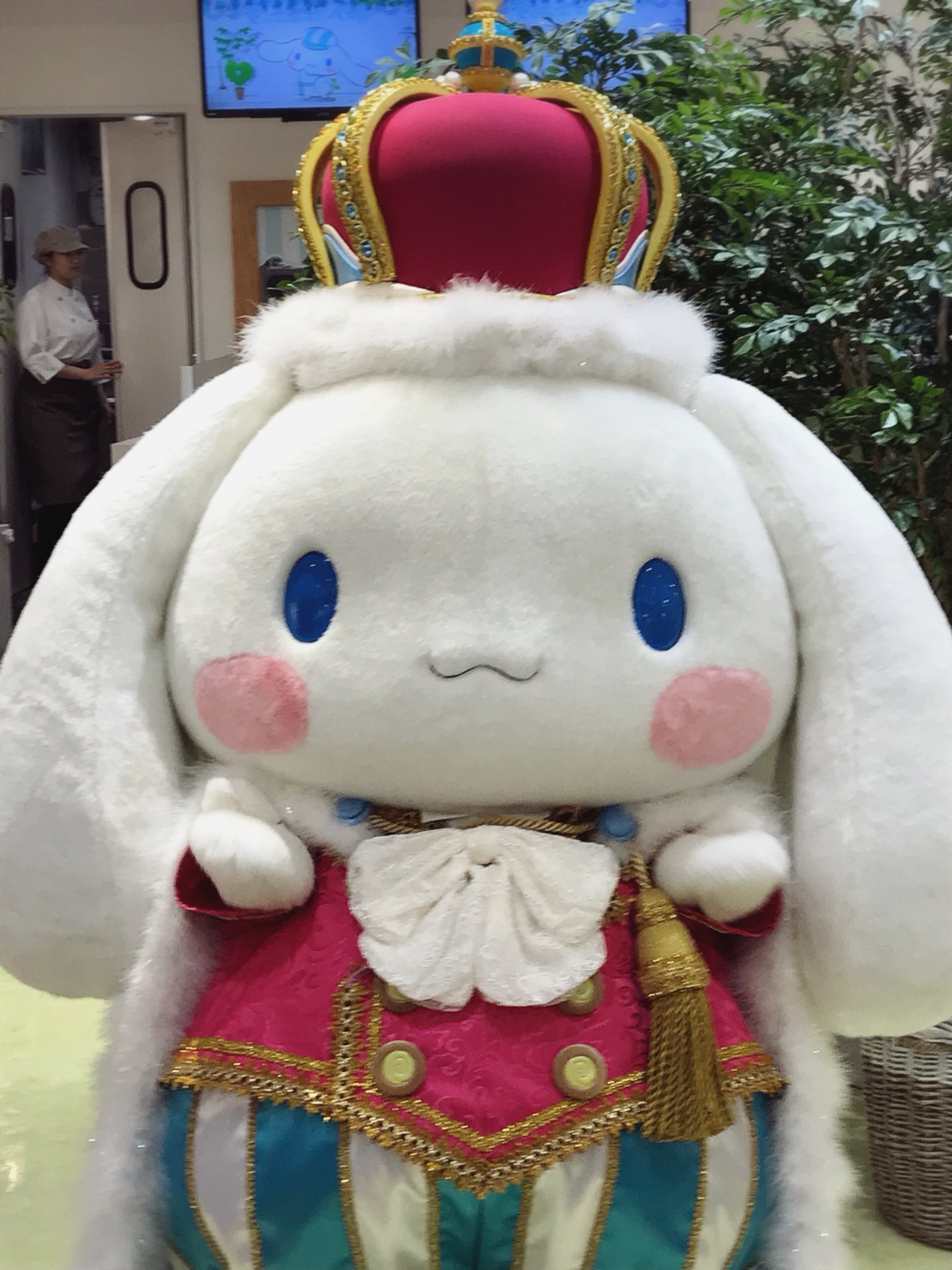 シナモロール王国　ぬいぐるみ　限定　シナモン シナモロール王国 シナモン ぬいぐるみ シナモロールデビュー15