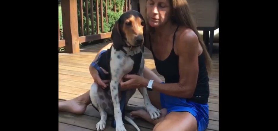 997CYK's tweet photo. Meet Bonnie from @augustadogadopt , your CYK Rescue Pet of the Week!

Learn more about Bonnie, and you can adopt her here>>>>>https://t.co/UAfHOw03qR https://t.co/htOWcpDJXJ