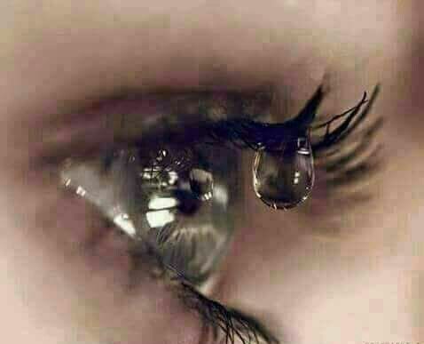 vovo_1213's tweet photo. الدمعة هي قطرة صغيرة تحمل أكبر المشاعر وأقسى الآلام، قطرة صغيرة بحجمها لكن كبيرة بما تحمله من آهات وأحزان، تمتص آلامي من جسدي لتخرجها ساخنة ملتهبة
#مملكة_نور https://t.co/BOeYkIr5bg