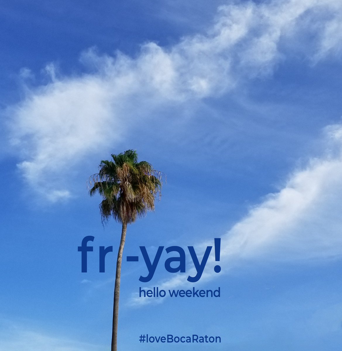 One of our favorite Downtown palms...saying welcome to the weekend #BocaRaton. Happy Fri-yay! #LoveBocaRaton
