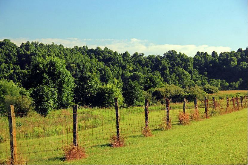MurdocksGallery's tweet photo. Old Fence: Landscape Photography Prints! https://t.co/hn5YlQBgyq #oldfence #fence #photography #landscape #ohiolandscape #farms #fields #fenceinthefield #woodfence https://t.co/RyyDgkDD0M