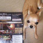 ツイートに含まれる画像