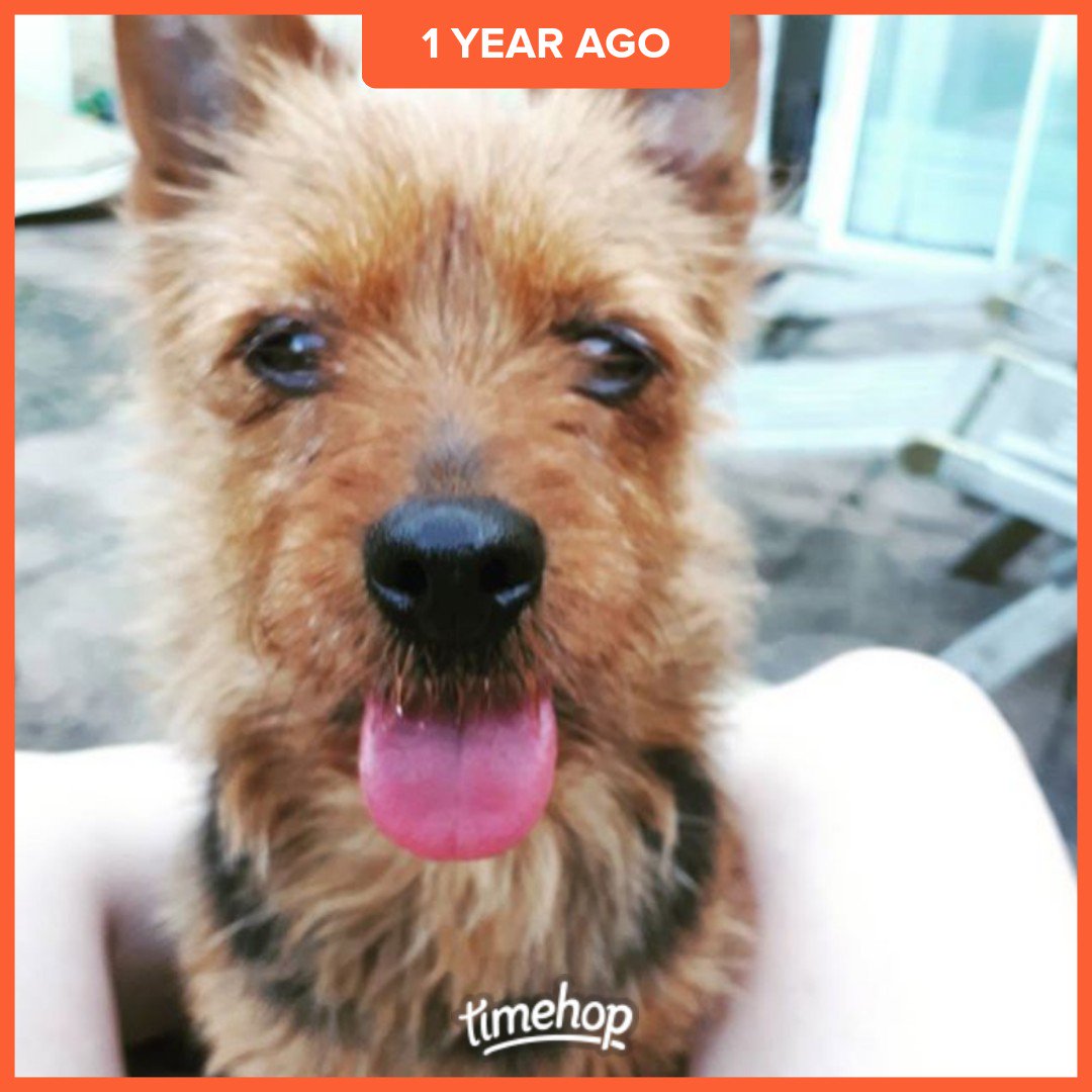 Happy 10th birthday Lucy..