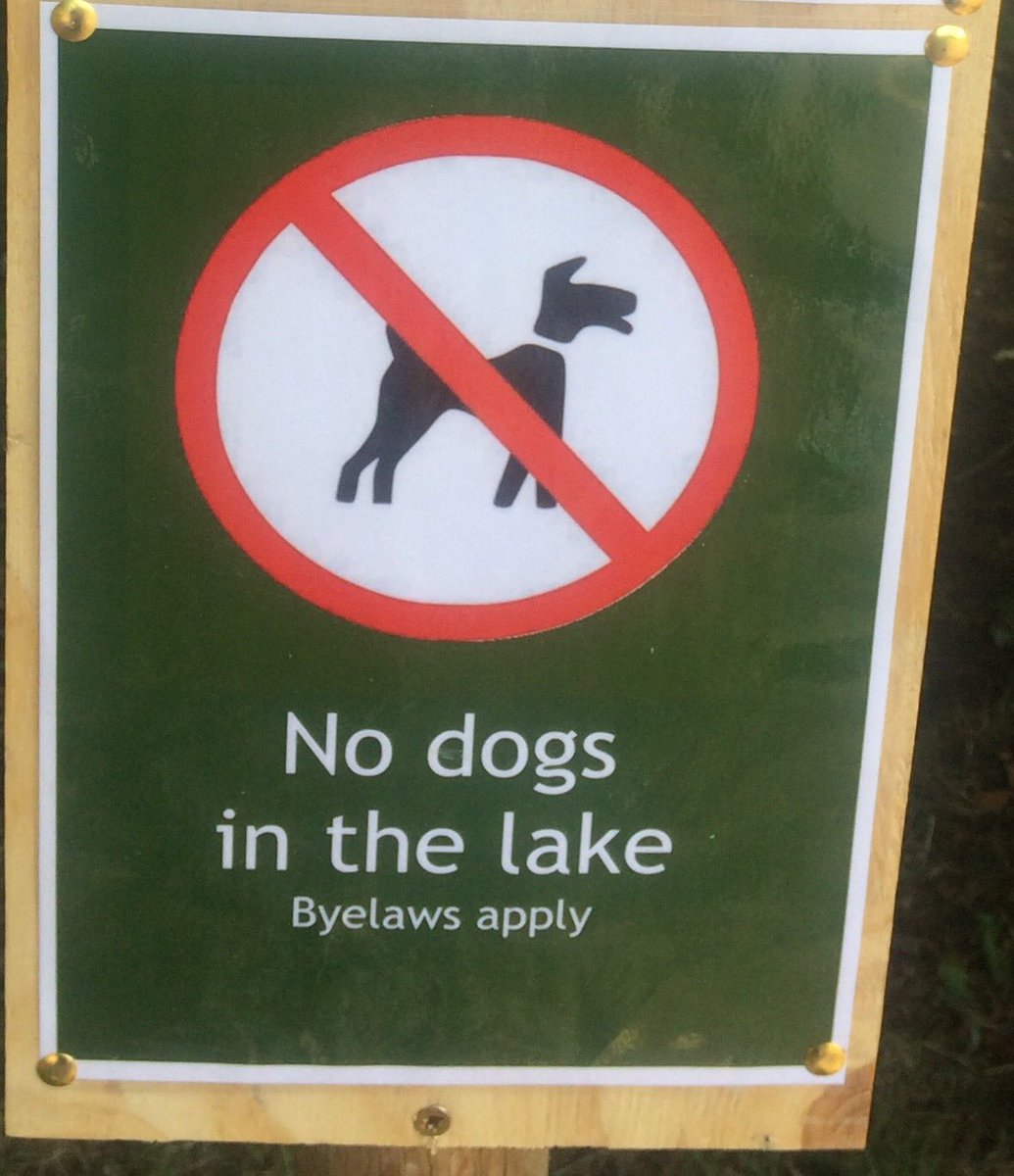 wwcommon's tweet image. We know it feels tough on pooch ☹️not to be allowed in our lakes to cool off🤬. It’s the law for bio-diversity reasons, but it’s also for their own good! Settle for what humans do - a cold drink🥛 and a shower at home 🚿😊