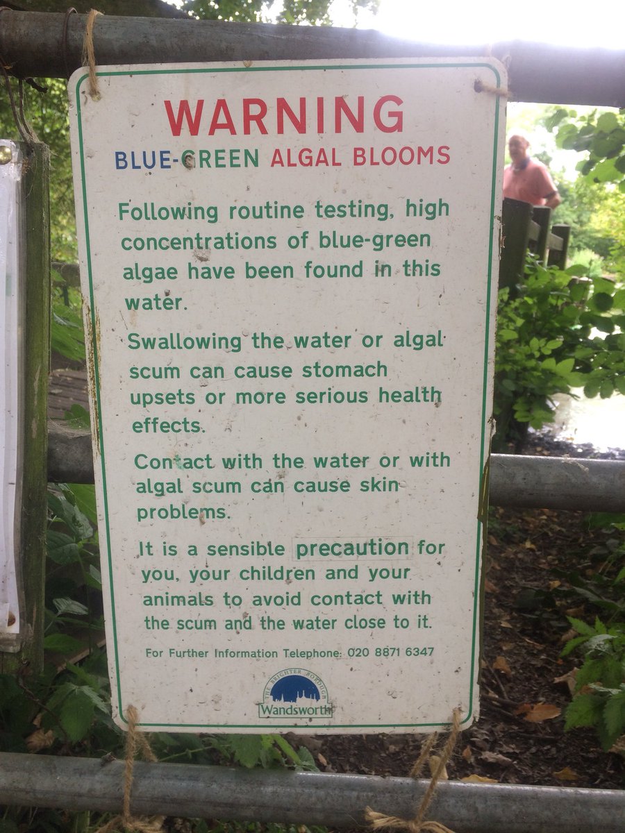 wwcommon's tweet image. We know it feels tough on pooch ☹️not to be allowed in our lakes to cool off🤬. It’s the law for bio-diversity reasons, but it’s also for their own good! Settle for what humans do - a cold drink🥛 and a shower at home 🚿😊