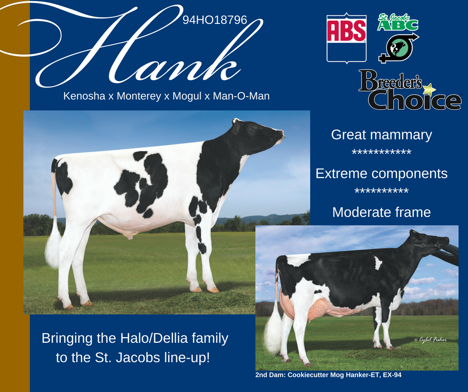 St. Jacobs ABC tweet media