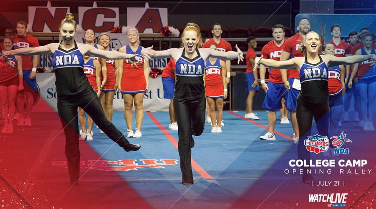 NDA Shannah tweet media