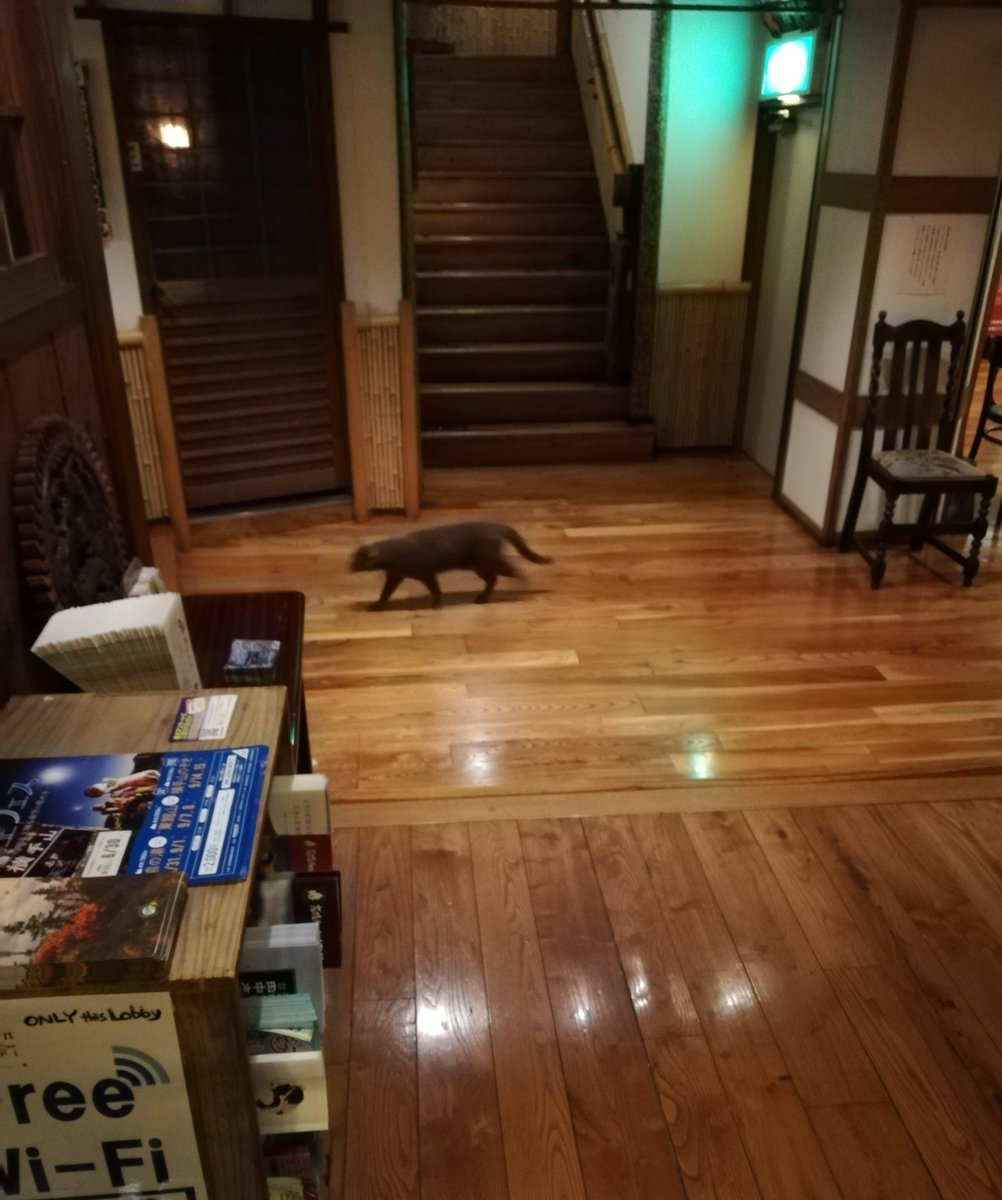 帰ってきた 