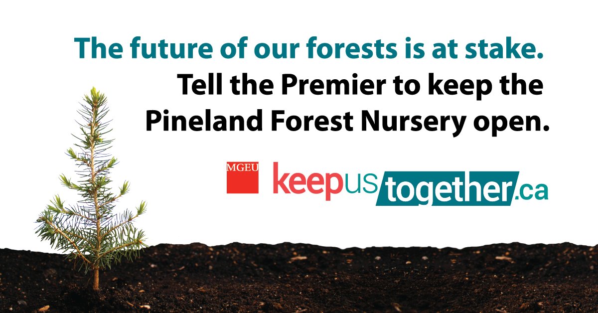 MGEUnion's tweet photo. The Pineland Forest Nursery produces trees that replenish our forests and houses a seed bank that maintains Manitoba's biodiversity. Why would the Pallister government want to privatize it? Add your name to those that want this treasure to remain public: https://t.co/akOhZZe2B2 https://t.co/6e5gRvtl1H