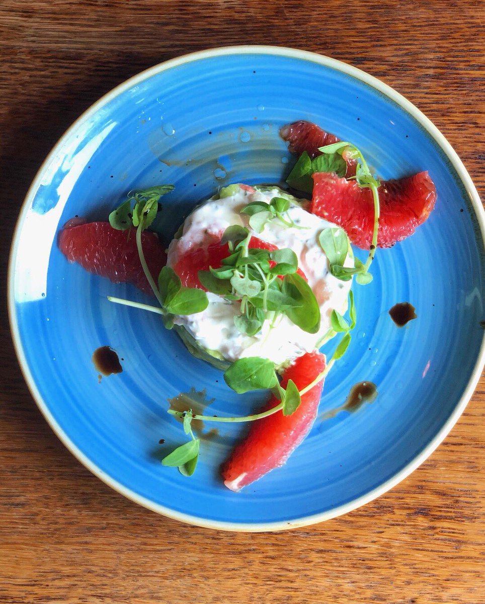 Forest Fence 🌳 tweet media