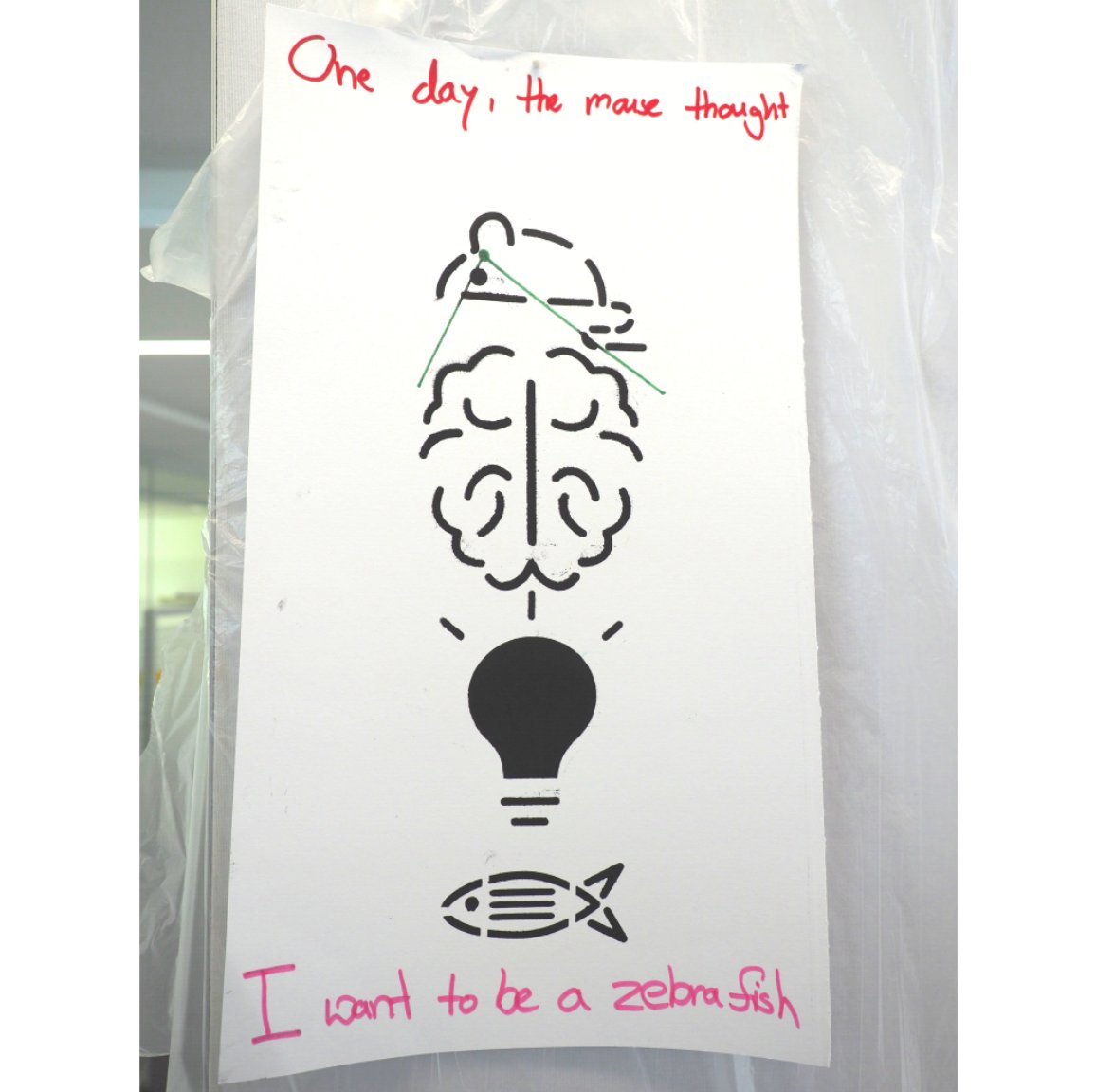 AleksKrolik's tweet photo. And the winner of today's #EMBLlabday stencil fun is... ππ§ π‘π #dreambig
Β©Patrick MΓΌller https://t.co/ivETugsrhZ