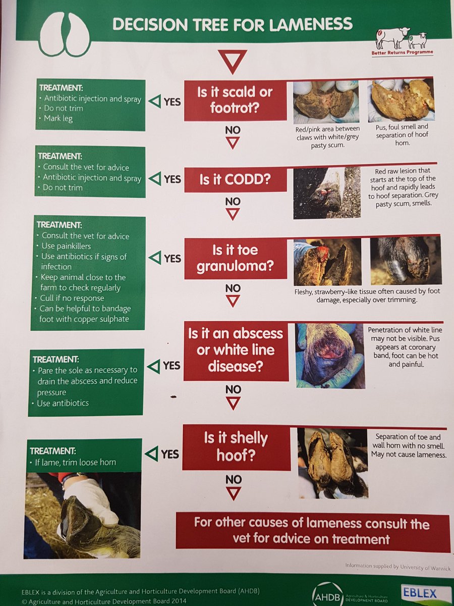5Lameness's tweet photo. @L_Higham left this on my desk. Great for helping to answer the age old question .... to trim or not to trim? #Jointhemarch https://t.co/4waxFGZ8g6