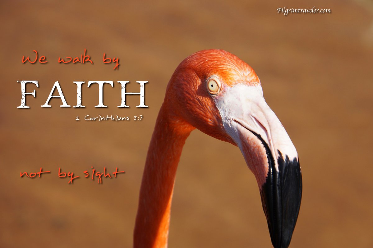 Pilgrimtravelr's tweet photo. 2 Corinthians 5:7 "We walk by faith, not by sight." https://t.co/m2ugaHrLw1 https://t.co/UaBwCFBkWh
