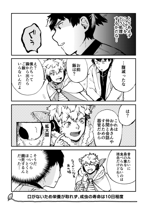 家蚕少年カイコくん② 