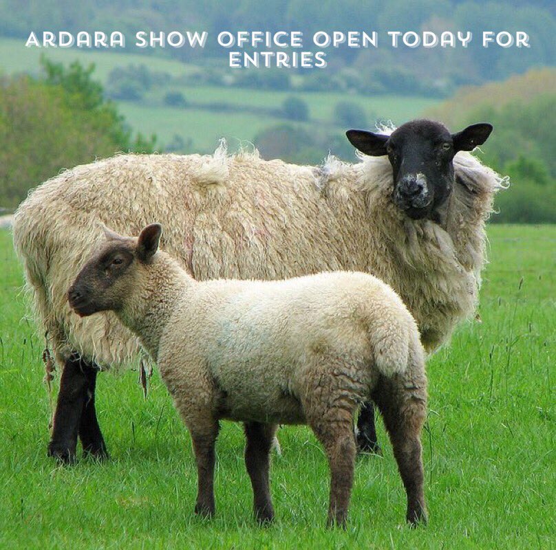 ardarashow's tweet photo. Show Office is open for Entries.  ENTRIES DUE 21st JULY.   Show Schedule https://t.co/iCozric4pP. https://t.co/Aym6gEmMKI