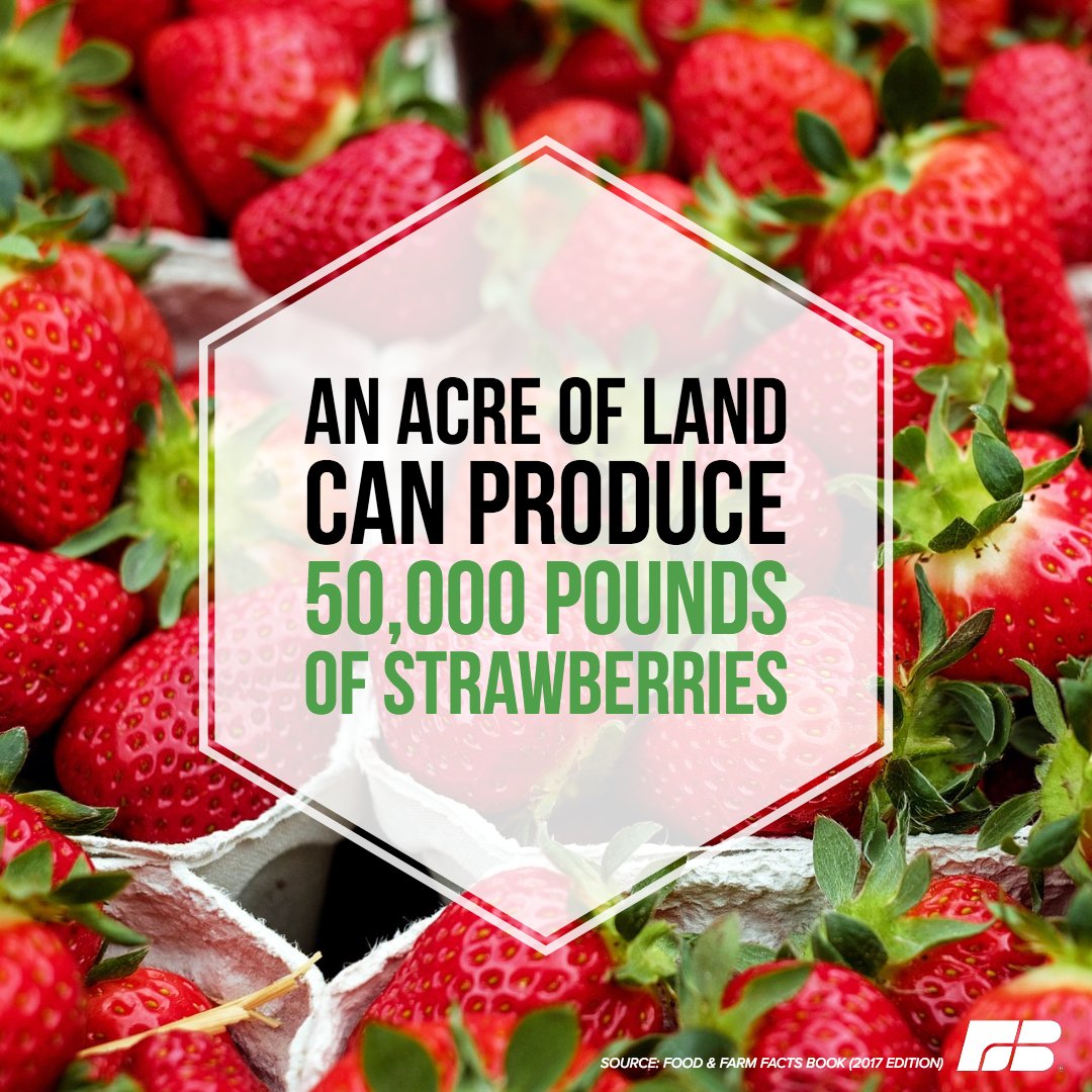 #DidYouKnow an acre of land can produce 50,000 pounds of strawberries? #FoodandFarmFactFriday

How do you like to eat your strawberries?