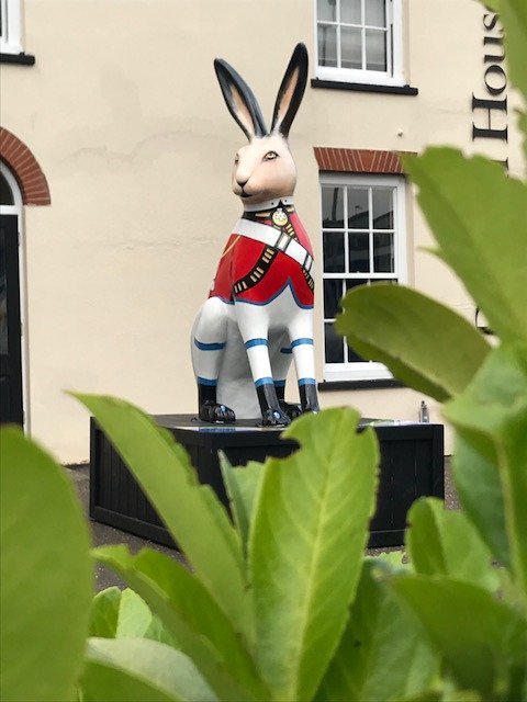 themarchinghare's tweet image. Maybe my laurel camouflage is a bit too good? @themarchinghare Please come and visit me (no.8 on the trail map) this weekend @GoGoHares2018 trail :)
