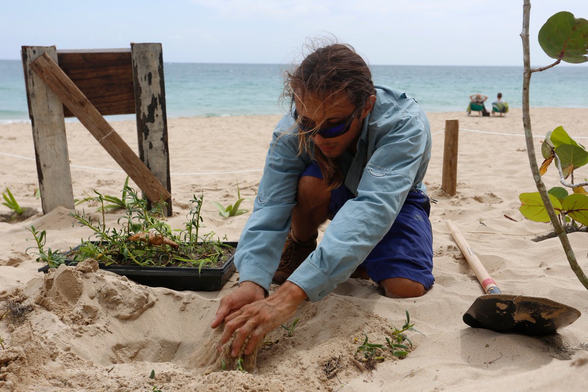 Para la Naturaleza tweet media
